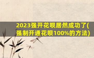 2023强开花呗居然成功了(强制开通花呗100%的方法)