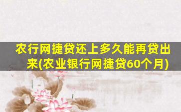 农行网捷贷还上多久能再贷出来(农业银行网捷贷60个月)