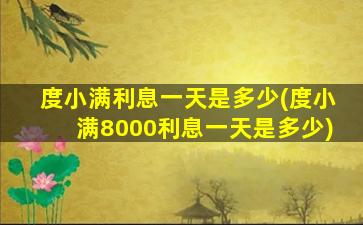 度小满利息一天是多少(度小满8000利息一天是多少)