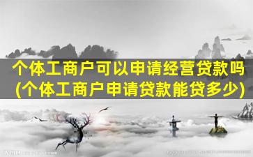 个体工商户可以申请经营贷款吗(个体工商户申请贷款能贷多少)