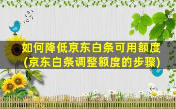 如何降低京东白条可用额度(京东白条调整额度的步骤)