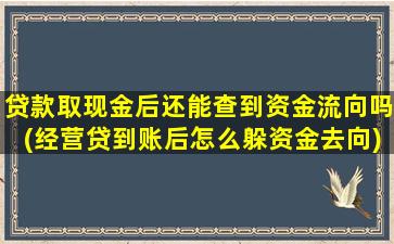 贷款取现金后还能查到资金流向吗(经营贷到账后怎么躲资金去向)