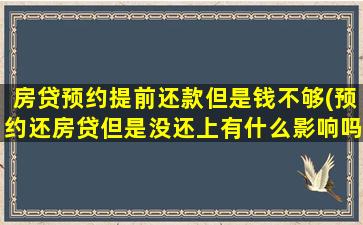 房贷预约提前还款但是钱不够(预约还房贷但是没还上有什么影响吗)