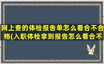 网上查的体检报告单怎么看合不合格(入职体检拿到报告怎么看合不合格)