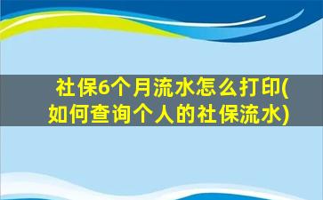 社保6个月流水怎么打印(如何查询个人的社保流水)