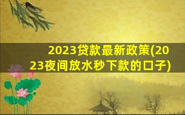 2023贷款最新政策(2023夜间放水秒下款的口子)