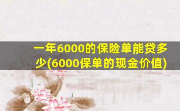 一年6000的保险单能贷多少(6000保单的现金价值)