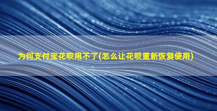 为何支付宝花呗用不了(怎么让花呗重新恢复使用)