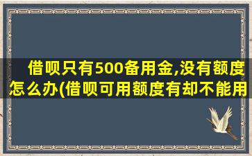 借呗只有500备用金,没有额度怎么办(借呗可用额度有却不能用)