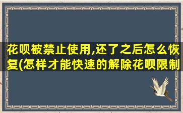 花呗被禁止使用,还了之后怎么恢复(怎样才能快速的解除花呗限制使用)