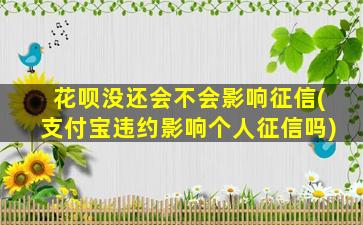 花呗没还会不会影响征信(支付宝违约影响个人征信吗)