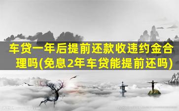 车贷一年后提前还款收违约金合理吗(免息2年车贷能提前还吗)