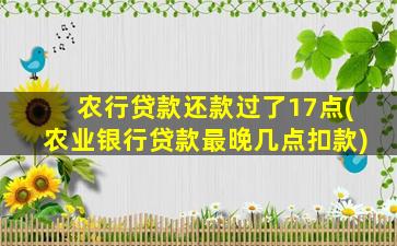 农行贷款还款过了17点(农业银行贷款最晚几点扣款)