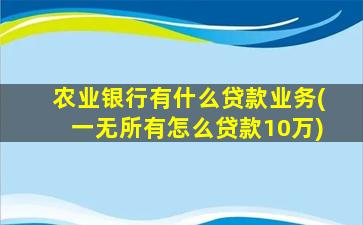 农业银行有什么贷款业务(一无所有怎么贷款10万)