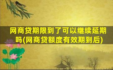 网商贷期限到了可以继续延期吗(网商贷额度有效期到后)