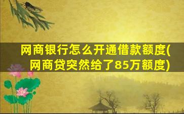 网商银行怎么开通借款额度(网商贷突然给了85万额度)