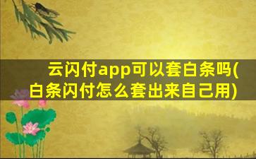 云闪付app可以套白条吗(白条闪付怎么套出来自己用)