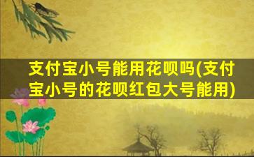 支付宝小号能用花呗吗(支付宝小号的花呗红包大号能用)