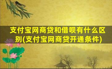 支付宝网商贷和借呗有什么区别(支付宝网商贷开通条件)