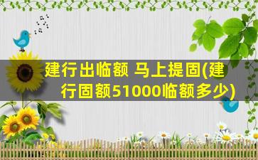 建行出临额 马上提固(建行固额51000临额多少)