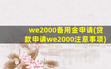 we2000备用金申请(贷款申请we2000注意事项)