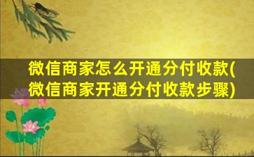 微信商家怎么开通分付收款(微信商家开通分付收款步骤)