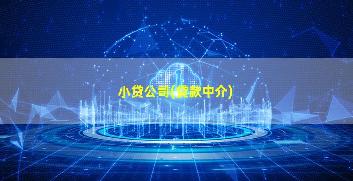 小贷公司(贷款中介)