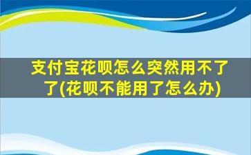 支付宝花呗怎么突然用不了了(花呗不能用了怎么办)