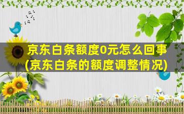 京东白条额度0元怎么回事(京东白条的额度调整情况)