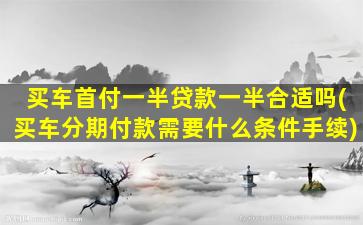 买车首付一半贷款一半合适吗(买车分期付款需要什么条件手续)