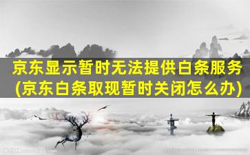 京东显示暂时无法提供白条服务(京东白条取现暂时关闭怎么办)