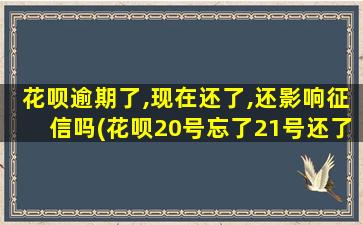 花呗逾期了,现在还了,还影响征信吗(花呗20号忘了21号还了)