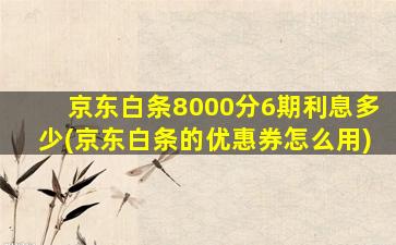 京东白条8000分6期利息多少(京东白条的优惠券怎么用)