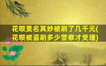 花呗莫名其妙被刷了几千元(花呗被盗刷多少警察才受理)