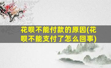 花呗不能付款的原因(花呗不能支付了怎么回事)