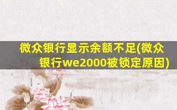 微众银行显示余额不足(微众银行we2000被锁定原因)