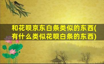 和花呗京东白条类似的东西(有什么类似花呗白条的东西)