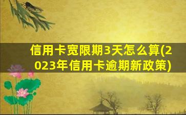 信用卡宽限期3天怎么算(2023年信用卡逾期新政策)