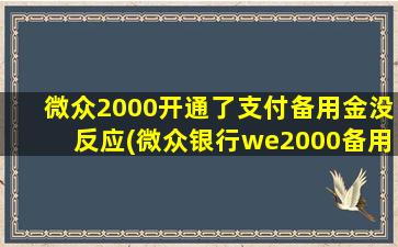 微众2000开通了支付备用金没反应(微众银行we2000备用金是0)