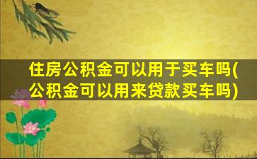 住房公积金可以用于买车吗(公积金可以用来贷款买车吗)