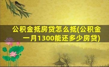 公积金抵房贷怎么抵(公积金一月1300能还多少房贷)