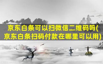 京东白条可以扫微信二维码吗(京东白条扫码付款在哪里可以用)