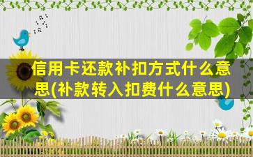 信用卡还款补扣方式什么意思(补款转入扣费什么意思)