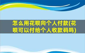 怎么用花呗向个人付款(花呗可以付给个人收款码吗)