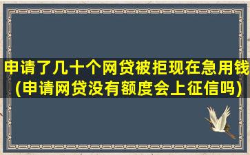 申请了几十个网贷被拒现在急用钱(申请网贷没有额度会上征信吗)