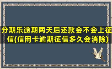 分期乐逾期两天后还款会不会上征信(信用卡逾期征信多久会消除)