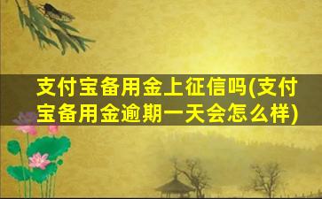 支付宝备用金上征信吗(支付宝备用金逾期一天会怎么样)