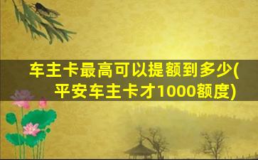 车主卡最高可以提额到多少(平安车主卡才1000额度)