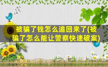 被骗了钱怎么追回来了(被骗了怎么能让警察快速破案)