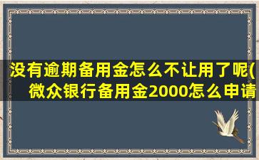 没有逾期备用金怎么不让用了呢(微众银行备用金2000怎么申请)